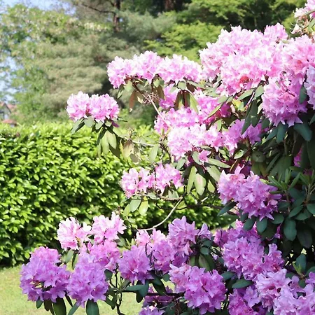 Casa Martina דירה