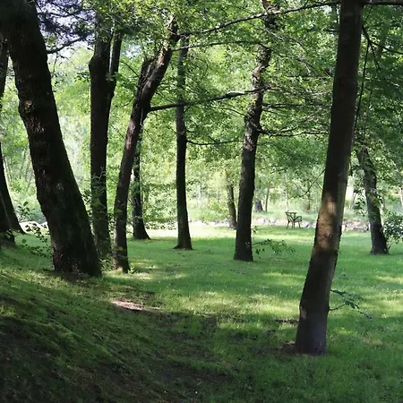 דירה Casa Martina קסטלטו סופרה טיצ'ינו